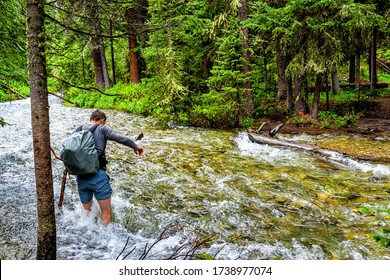 Man crossing fording river on Conundrum Creek Trail in Aspen, Colorado in 2019 summer in forest woods with strong current and deep water - Powered by Shutterstock