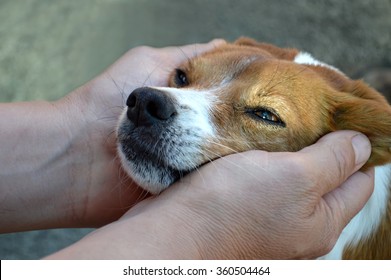 Man Cuddling His Dog