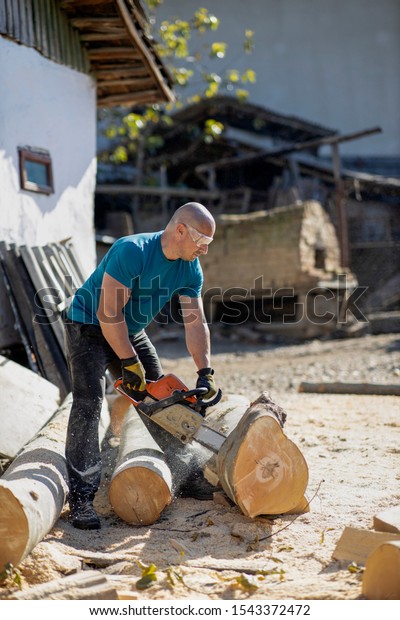 Man Cut Saw Dust Movements Woodcutter Stock Photo 1543372472 | Shutterstock