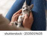 Man with cute kitten at home, closeup