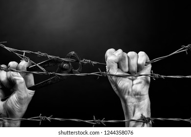 Man cuting a barbed wire fence. Black and white. - Shutterstock ID 1244358076