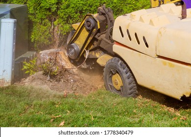 438 Stump grinders Images, Stock Photos & Vectors | Shutterstock