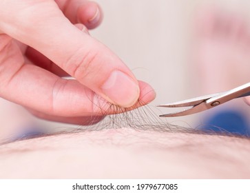 The Man Cuts The Hair From The Abdomen With Scissors. Hygiene And Body Care Concept