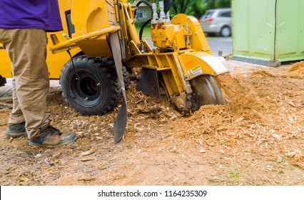 Man Cuts A Stump Grinder In Action