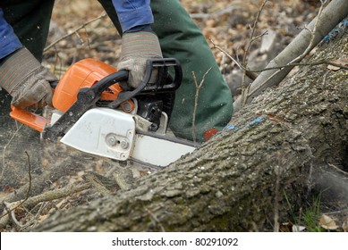 Man Cuts Tree With Chainsaw