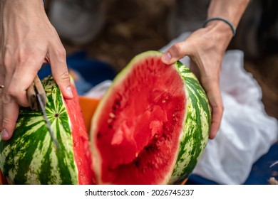 Man cuts watermelon, picnic outside - Powered by Shutterstock