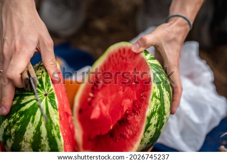 Man cuts watermelon, picnic outside