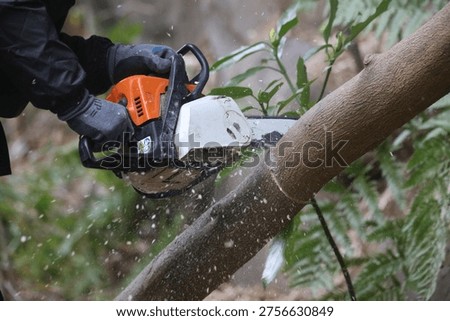 A man cutting down trees with a chainsaw.