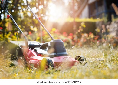 Man cutting grass in his yard with lawn mower. - Shutterstock ID 632348219