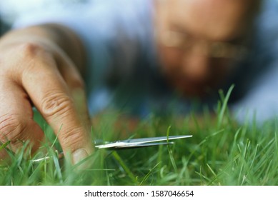 Man Cutting Grass With Nail Scissors