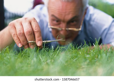 Man Cutting Grass With Nail Scissors