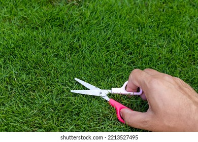 Man Cutting Grass With A Small Paper Scissors