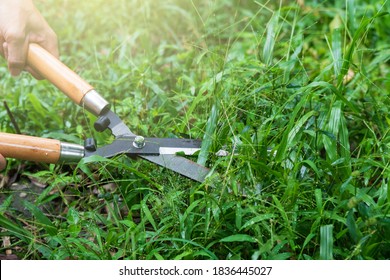 Man Cutting Grass Using Grass Shears