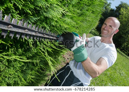 man-cutting-hedge-450w-678214285.jpg