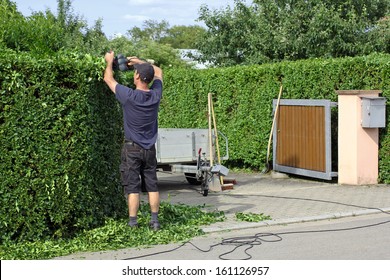 Man Is Cutting A Hedge With A Hedge Trimmer