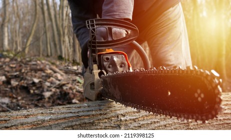 Man cutting a log of wood with a chainsaw. Chainsaw blade cutting wood. - Powered by Shutterstock