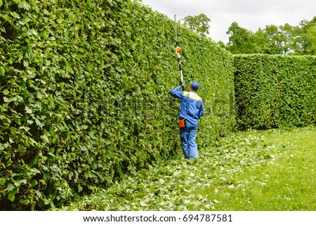 Man is cutting trees in the park. Professional gardener in a uniform cuts bushes with clippers. Pruning garden, hedge. Worker trimming and landscaping green bushes. Hard work in the garden. Clipper.