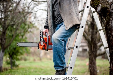 Man Cutting Wood From Trees Climbing A Ladder And Using A Chainsaw