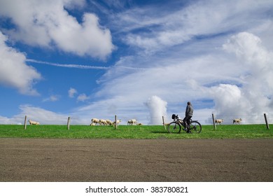 Man cycling on the North Sea Cycle Route in the Netherlands