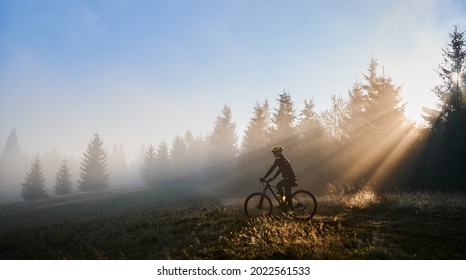 Man in cycling suit riding bicycle near forest illuminated by morning sunlight. Male bicyclist wearing safety helmet while cycling on grassy hill in the morning. Concept of sport and bicycling.