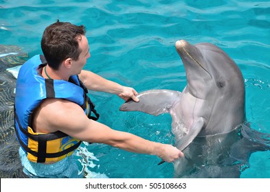 man dancing with dolphin in blue water pool