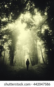 Man In Dark Green Forest