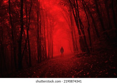 man in dark scary forest on halloween night - Shutterstock ID 2190874341