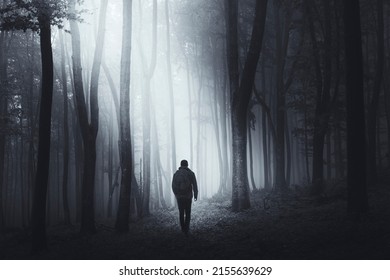 Man In Dark Woods At Night, Mysterious Forest Landscape