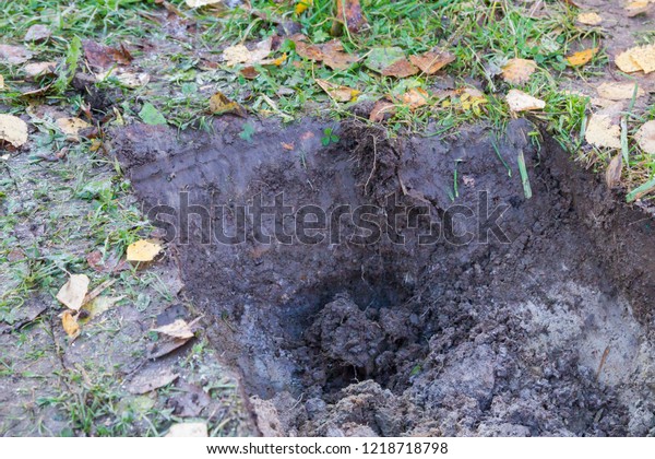 ditch shovel