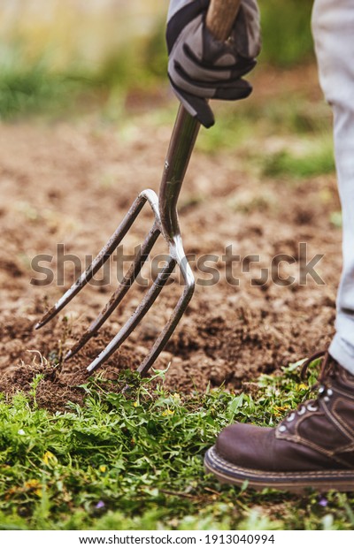 man is digging with a gardening fork\
in his garden, concept agriculture or hobby\
gardening
