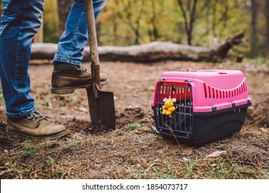 Man Digging A Grave In Pet Cemetery. Gravedigger Digs Pet Burial Hole In Wooded Area. Carrying Box For Animals With Toy On Background Of Grave. Theme Of Death And Pain Of Losing A Cat Or Dog.