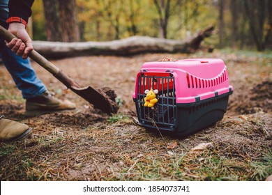 Man Digging A Grave In Pet Cemetery. Gravedigger Digs Pet Burial Hole In Wooded Area. Carrying Box For Animals With Toy On Background Of Grave. Theme Of Death And Pain Of Losing A Cat Or Dog.