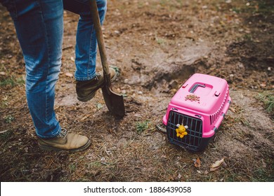 Man Digging A Grave In Pet Cemetery. Gravedigger Digs Pet Burial Hole In Wooded Area. Carrying Box For Animals With Toy On Background Of Grave. Theme Of Death And Pain Of Losing A Cat Or Dog.