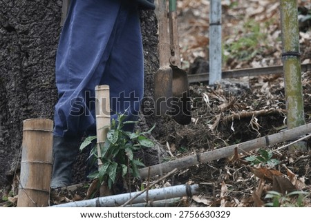 A man digging in the soil