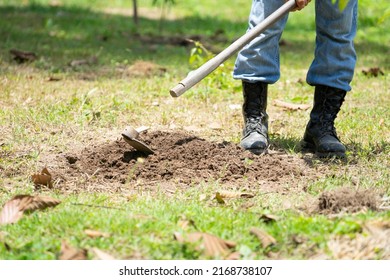 7,116 Hoe spade Images, Stock Photos & Vectors | Shutterstock