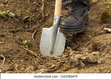 a man digs a dry earth with a spade - close-up of a foot in an army boot, resting on a blade - Powered by Shutterstock