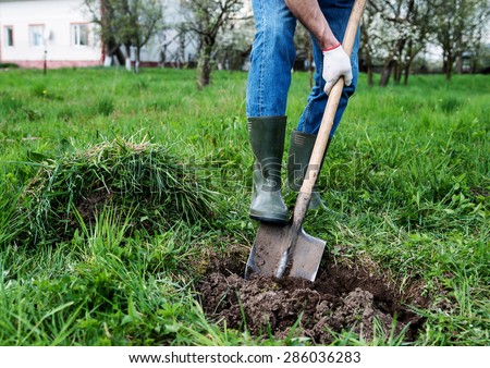 Man digs a hole in the ground for planting trees