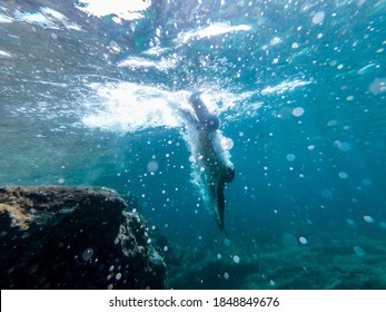 Man Diving Head First Into The Sea. View From Inside The Water.