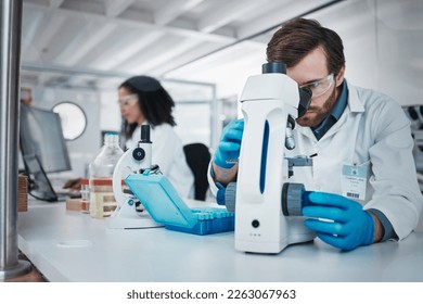 Man, doctor and forensic scientist with microscope for examination, experiment or test at laboratory. Male in science looking at micro organisms for exam, breakthrough or testing to find cure at lab - Shutterstock ID 2263067963
