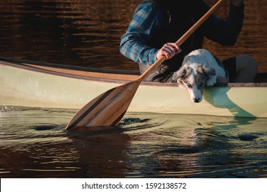  Man With Dog In Canoe