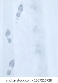 Man And Dog Footprint On White Winter Snow. Track In Snow. Flat Lay / Overhead View. Snowy Road. Winter Footsteps Background.