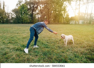 Man And Dog Labrador Have Fun Playing In Ball At Sunset