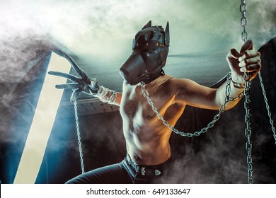 Man In The Dog Mask On The Chain. Dark Background.