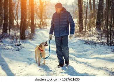 Man With Dog On A Leash Walking On Snowy Pine Forest In Winter