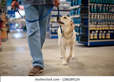 Man And Dog On Leash Walking In Hard-ware Store.