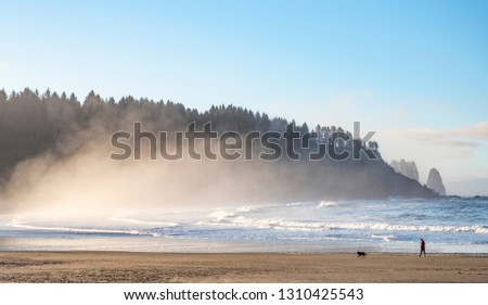 Man and dog on stormy morning at La Push beach, Washington state