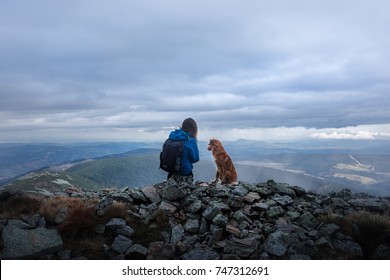 Man And Dog Outdoors, In The Mountains