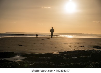 Man and dog silhouette walking on sand beach at low tide