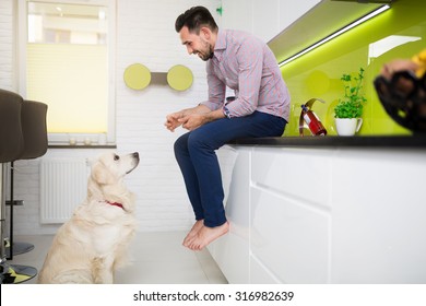 Man And A Dog Sitting In Modern White Kitchen