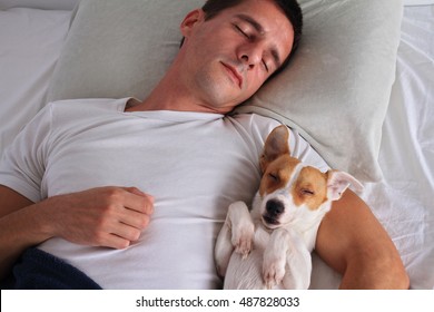 Man And Dog Sleeping Together. Pet Allergies Concept